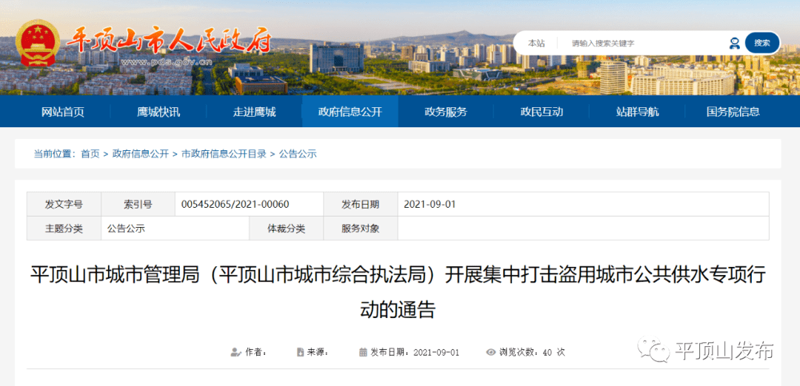 站群程序的市场动态与机遇