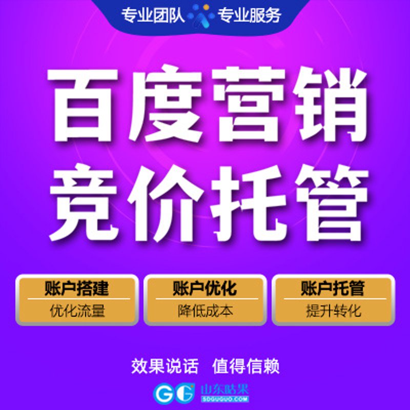 站群程序的市场动态与机遇