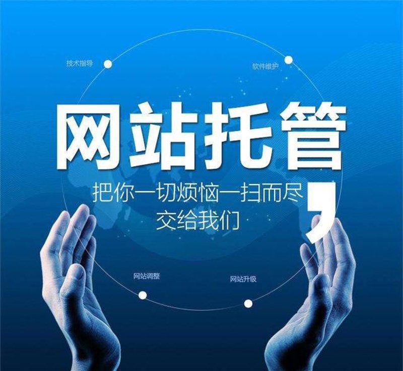 SEO站群，让企业网站像“多头蛇”一样快速壮大